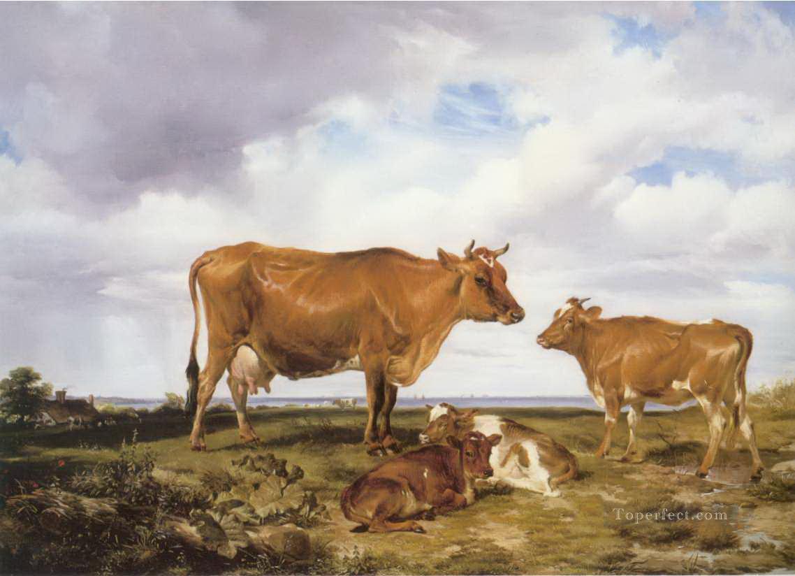 cattle 03 Oil Paintings